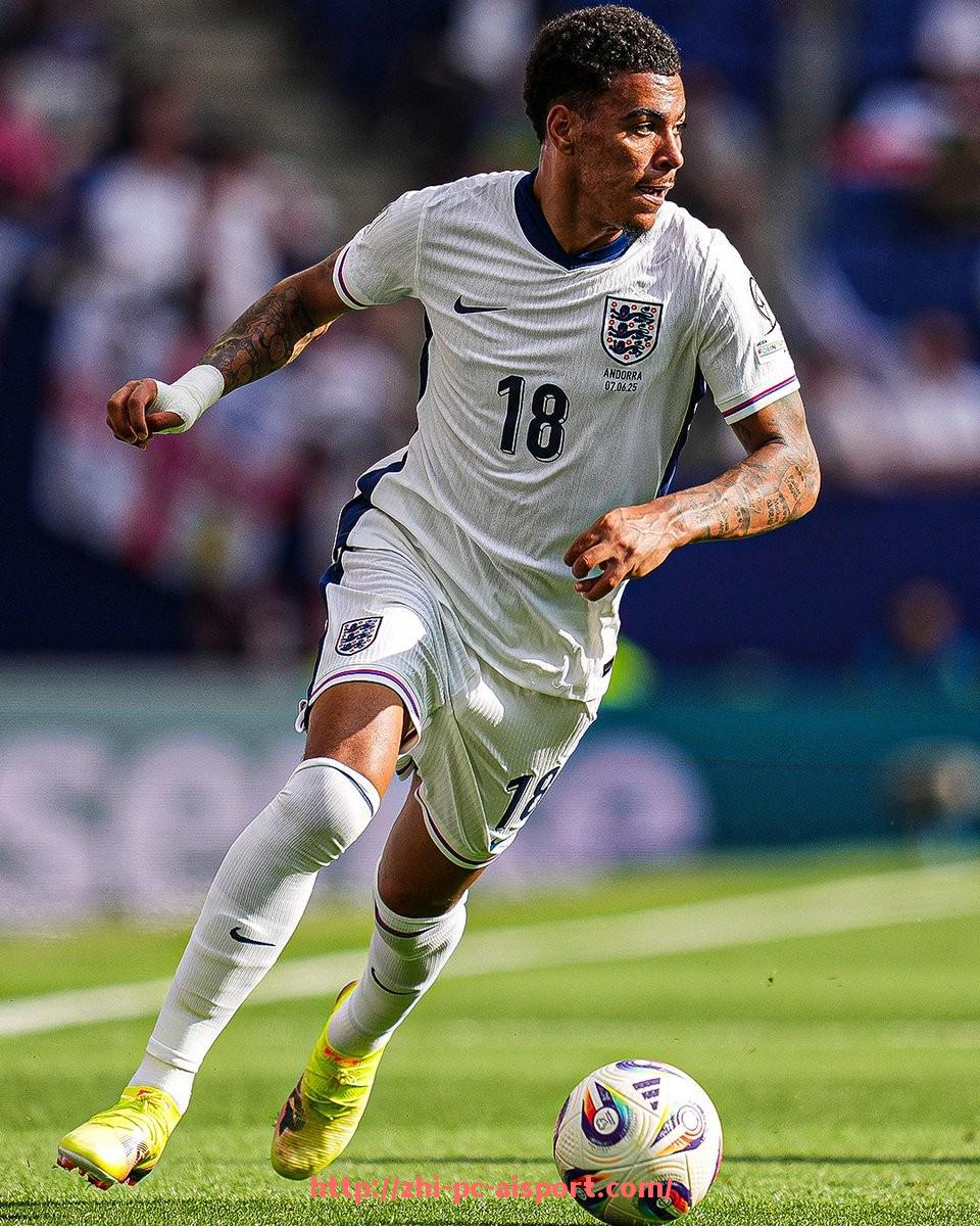 爱体育-2007年中超联赛重要球员名单及赛季表现回顾